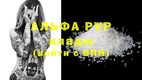 ECSTASY Болотное