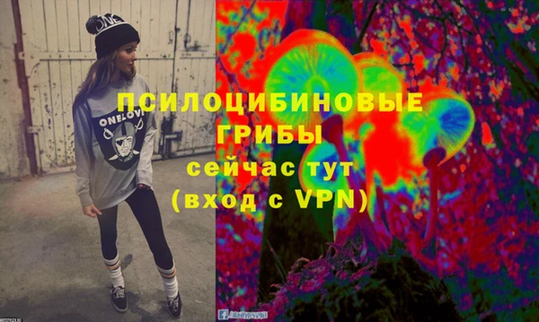 гидра Новокубанск