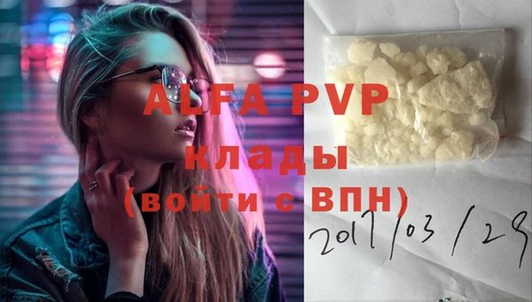 spice Новозыбков